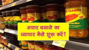 Achar ka business